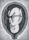 Nelson Drawing 1999